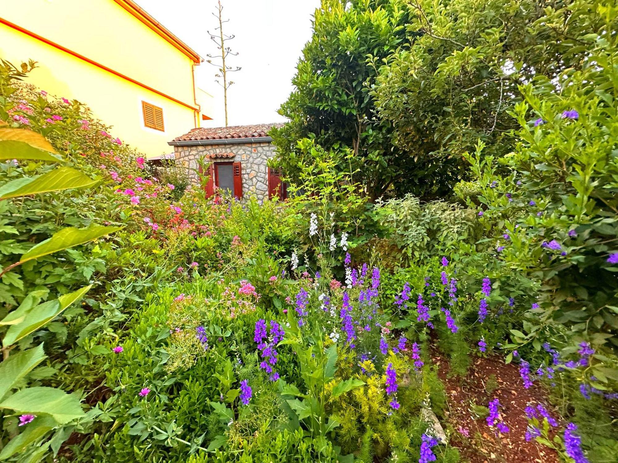 Apartments Cvita Veli Losinj Bagian luar foto